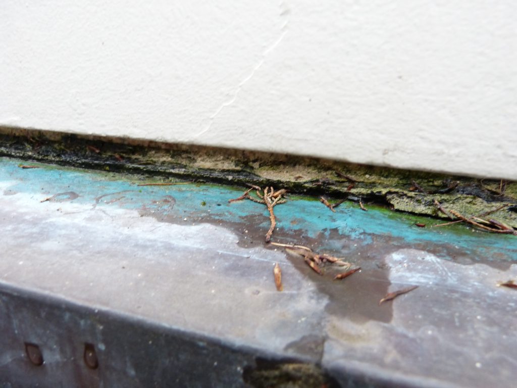 Terrasse3